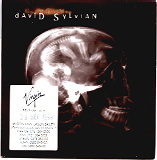 David Sylvian - God Man